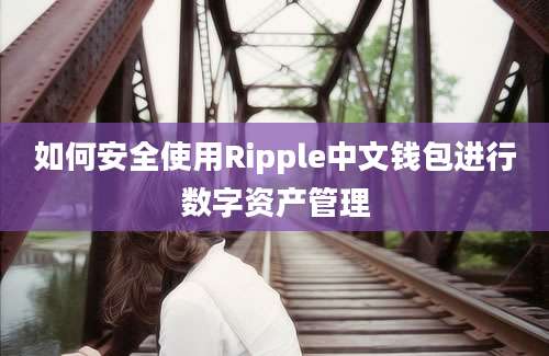 如何安全使用Ripple中文钱包进行数字资产管理