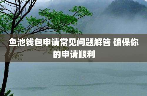 鱼池钱包申请常见问题解答 确保你的申请顺利