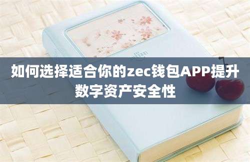 如何选择适合你的zec钱包APP提升数字资产安全性