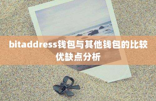 bitaddress钱包与其他钱包的比较优缺点分析