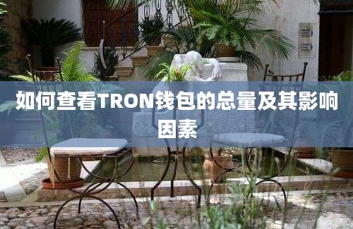 如何查看TRON钱包的总量及其影响因素