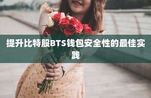 提升比特股BTS钱包安全性的最佳实践