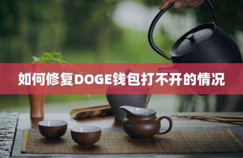 如何修复DOGE钱包打不开的情况