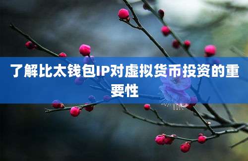 了解比太钱包IP对虚拟货币投资的重要性