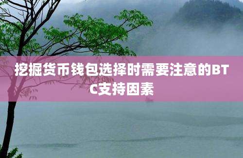 挖掘货币钱包选择时需要注意的BTC支持因素