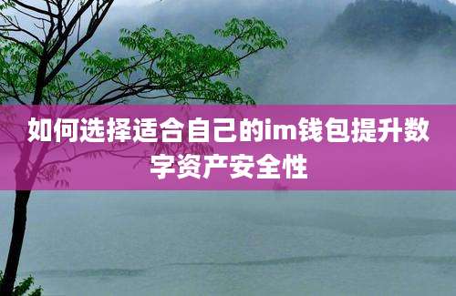 如何选择适合自己的im钱包提升数字资产安全性