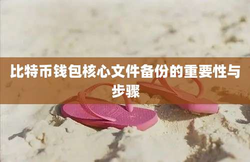 比特币钱包核心文件备份的重要性与步骤