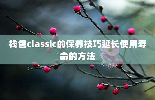 钱包classic的保养技巧延长使用寿命的方法