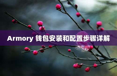 Armory 钱包安装和配置步骤详解