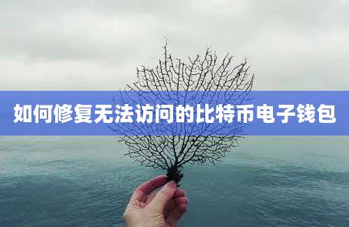 如何修复无法访问的比特币电子钱包