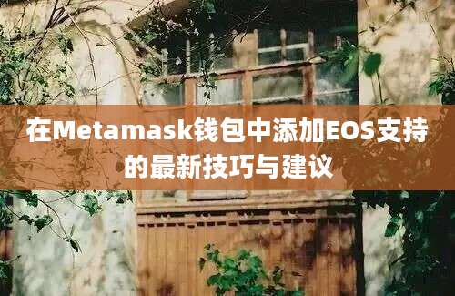 在Metamask钱包中添加EOS支持的最新技巧与建议