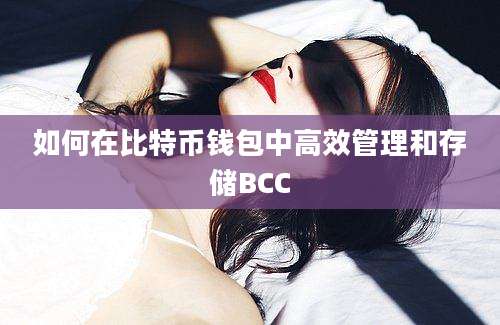 如何在比特币钱包中高效管理和存储BCC