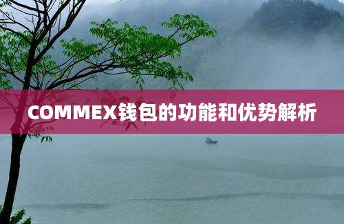 COMMEX钱包的功能和优势解析