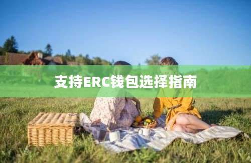 支持ERC钱包选择指南