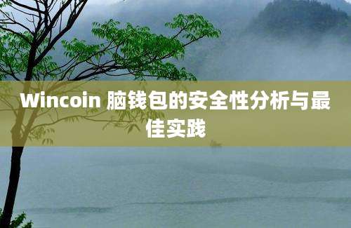 Wincoin 脑钱包的安全性分析与最佳实践