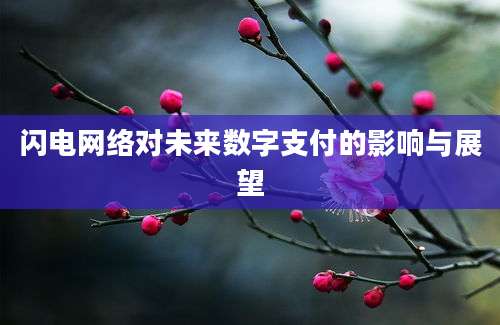 闪电网络对未来数字支付的影响与展望