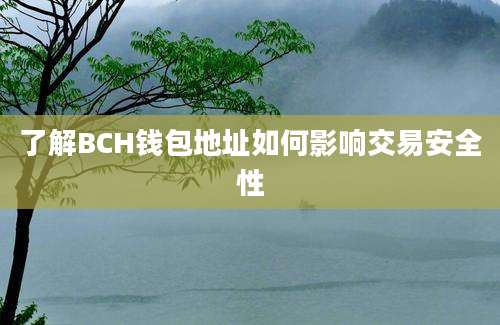 了解BCH钱包地址如何影响交易安全性