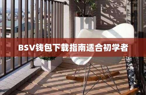 BSV钱包下载指南适合初学者