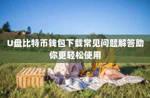 U盘比特币钱包下载常见问题解答助你更轻松使用