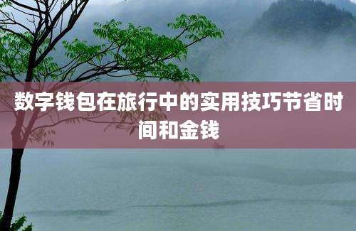 数字钱包在旅行中的实用技巧节省时间和金钱