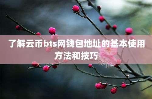 了解云币bts网钱包地址的基本使用方法和技巧