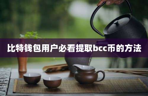 比特钱包用户必看提取bcc币的方法