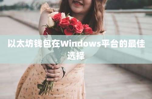 以太坊钱包在Windows平台的最佳选择