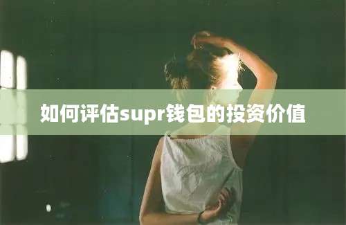 如何评估supr钱包的投资价值