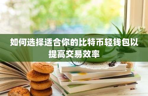 如何选择适合你的比特币轻钱包以提高交易效率