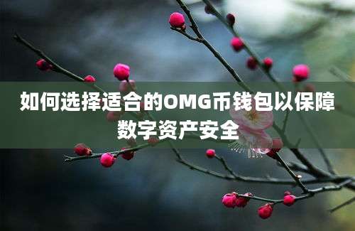 如何选择适合的OMG币钱包以保障数字资产安全