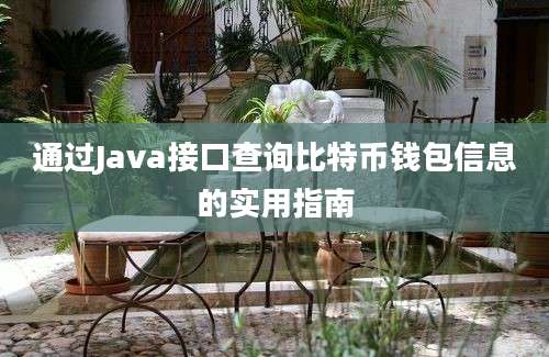 通过Java接口查询比特币钱包信息的实用指南