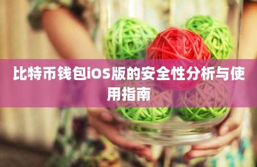 比特币钱包iOS版的安全性分析与使用指南