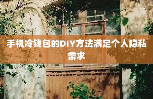 手机冷钱包的DIY方法满足个人隐私需求