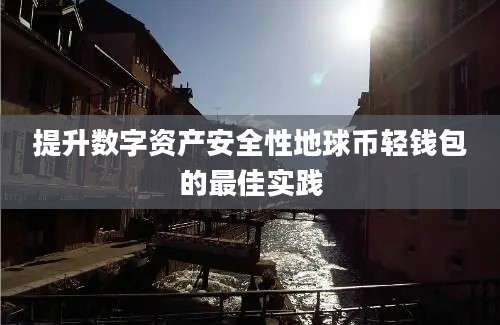 提升数字资产安全性地球币轻钱包的最佳实践