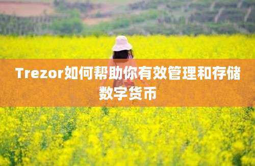 Trezor如何帮助你有效管理和存储数字货币