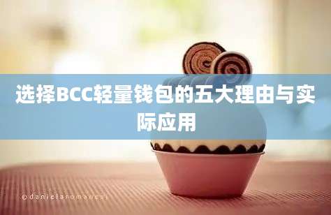 选择BCC轻量钱包的五大理由与实际应用