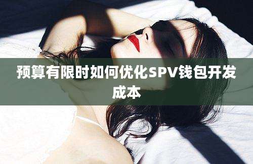 预算有限时如何优化SPV钱包开发成本