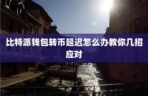 比特派钱包转币延迟怎么办教你几招应对