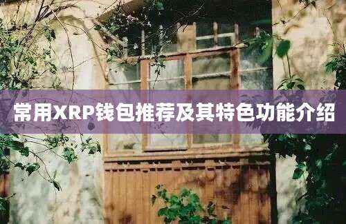 常用XRP钱包推荐及其特色功能介绍