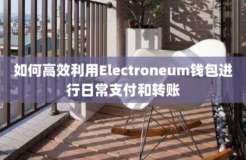 如何高效利用Electroneum钱包进行日常支付和转账