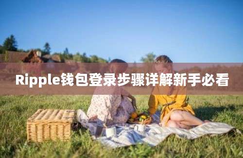 Ripple钱包登录步骤详解新手必看