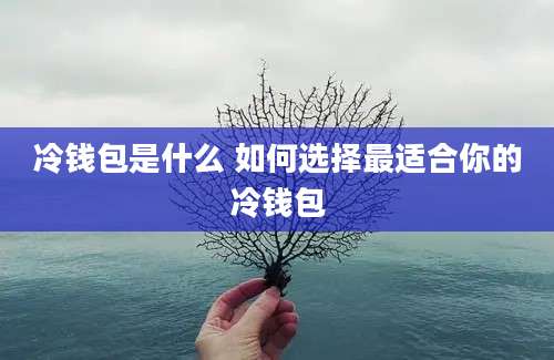 冷钱包是什么 如何选择最适合你的冷钱包