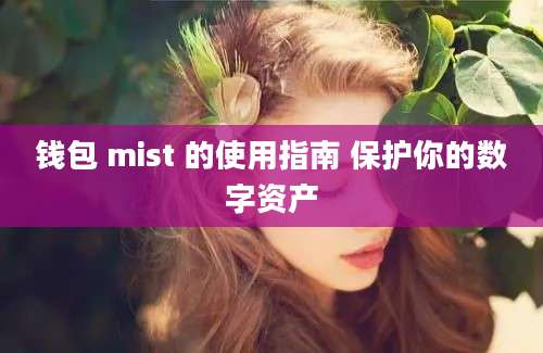 钱包 mist 的使用指南 保护你的数字资产