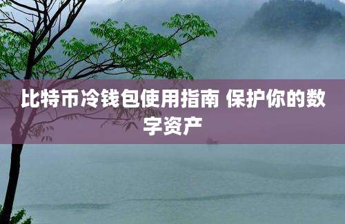 比特币冷钱包使用指南 保护你的数字资产