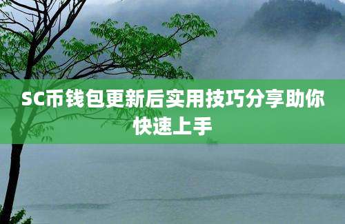 SC币钱包更新后实用技巧分享助你快速上手