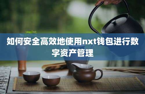 如何安全高效地使用nxt钱包进行数字资产管理