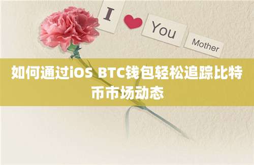 如何通过iOS BTC钱包轻松追踪比特币市场动态