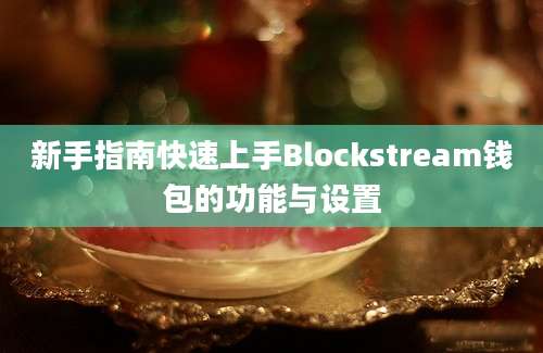 新手指南快速上手Blockstream钱包的功能与设置