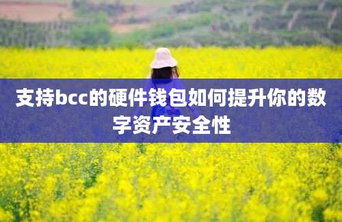 支持bcc的硬件钱包如何提升你的数字资产安全性