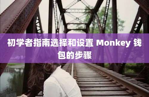 初学者指南选择和设置 Monkey 钱包的步骤